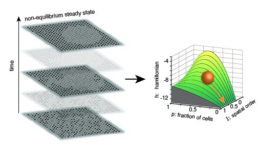 Mapping cellular automaton to a drifting-diffusing particle